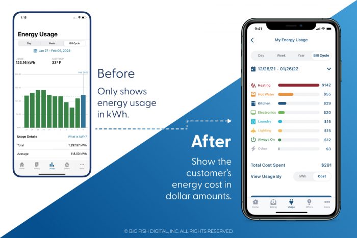 UX Teardown - Duke Energy App Recommendations - Show Energy Use in Dollars