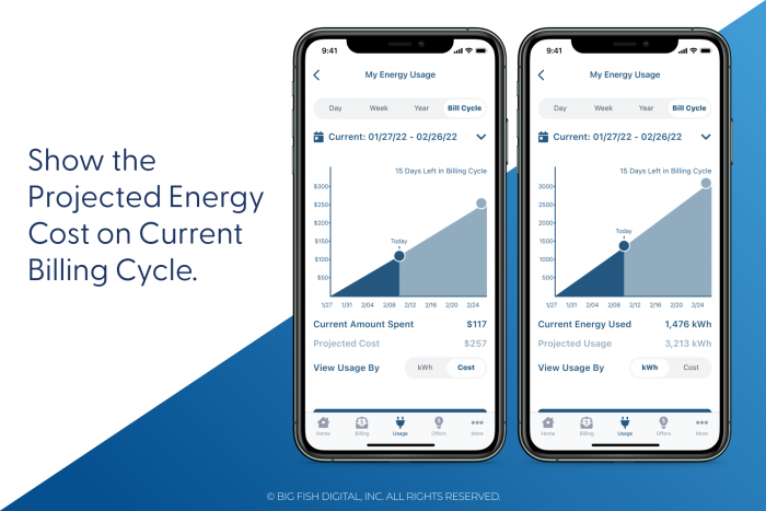 Utility Company App Recommendations - Show Projected Cost