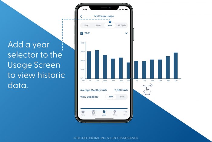 Utility Company App Recommendations - Show Yearly Energy Use